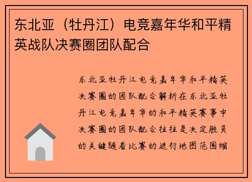 东北亚（牡丹江）电竞嘉年华和平精英战队决赛圈团队配合